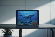 digital content