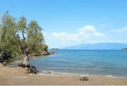 Παραλία Τζιτζίκια