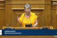 Η Έλενα Ακρίτα στη Βουλή