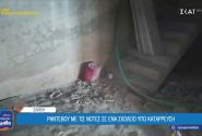 Πτώσεις σοβάδων, πλημμύρες και ποντίκια
