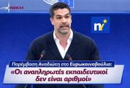 Νίκος Αναδιώτης