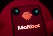 moltbot