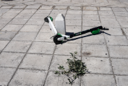 πατίνι