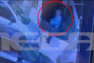 Κακοποίηση σε γατάκι από αντιδήμαρχο στην Κρήτη