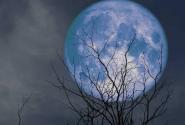 blue moon, Μπλε Πανσέληνος