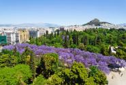 δεντρα