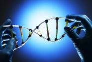 banca-dati-dna.jpg