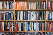 books-on-bookshelf-012_3.jpg