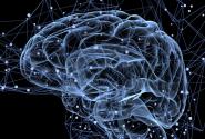 brainactivity-1440.jpg