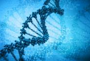 dna_2014_2_19_15_27_23_b.jpg