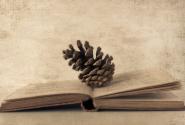 illustrations-books_00401980_28.jpg
