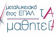 Μεταλυκειακό έτος