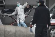 κοροναϊός, κορονοϊός, υγεία, πανδημία