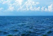 thalassa.jpg