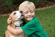 dog-kid-skilos-paidi.jpg