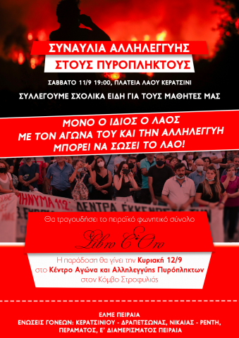 Συναυλία αλλυλεγγύης