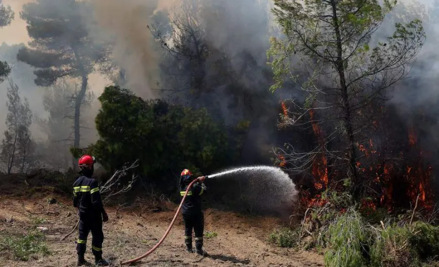 Πυρκαγιά σε δασική έκταση στην Κλειτορία Καλαβρύτων