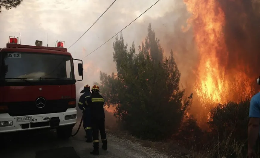 Σε εξέλιξη πυρκαγιά στην περιοχή των Φαρσάλων