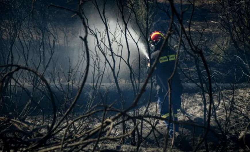 Σε ύφεση η πυρκαγιά φωτιά στον Μαραθώνα