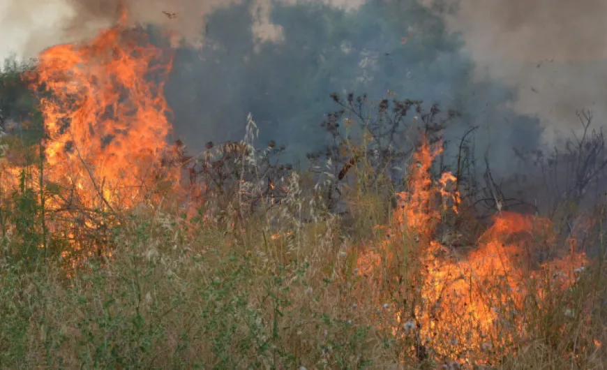 Υπό μερικό έλεγχο η πυρκαγιά στην Εύβοια