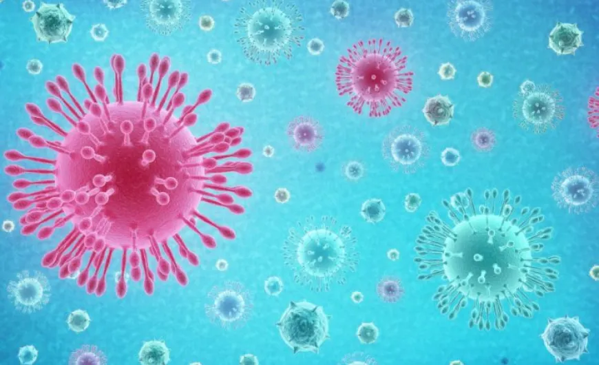 Coronavirus