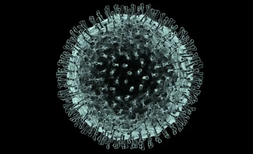 Coronavirus
