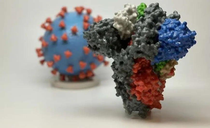 new zealand coronavirus Νέα Ζηλανδία και κορονοϊός