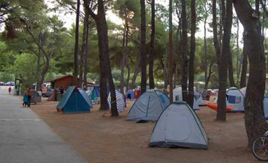 κάμπινγκ του ΑΠΘ στο Ποσείδι