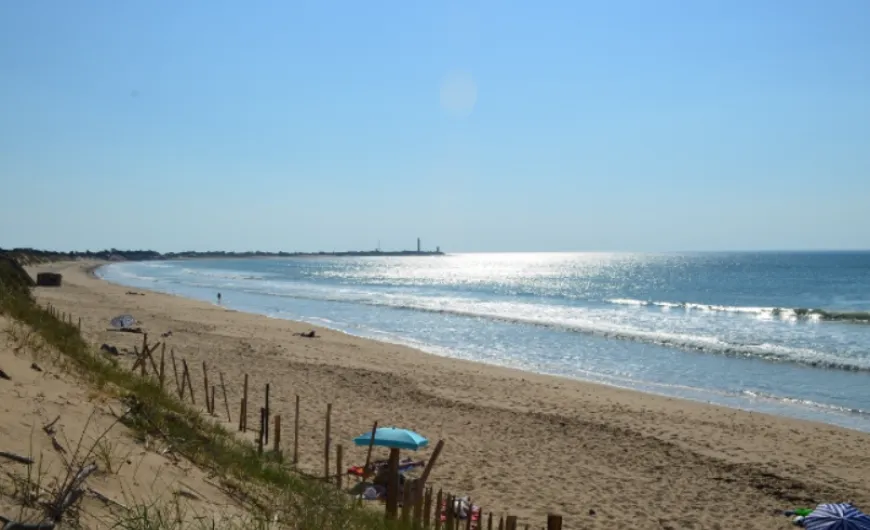 paralia