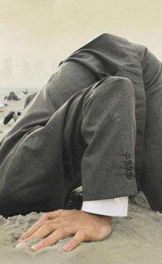 ΣΤΡΟΥΘΟΚΑΜΗΛΙΖΩ