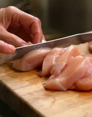 salmonela