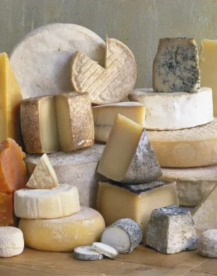 Cheese