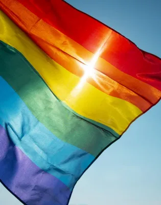 lgbtq