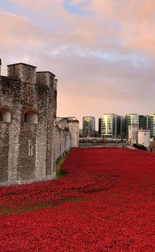 χαρακωματα