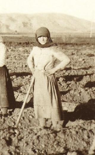 Ιστορία της αγροτιάς