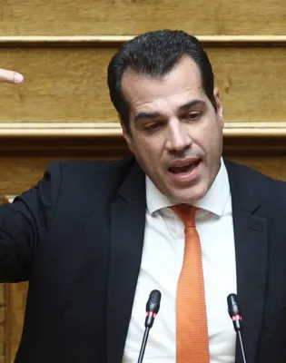 πλευρης