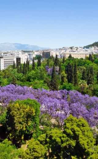δεντρα