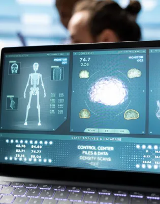 3d model of human body