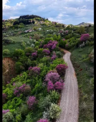 δρομος