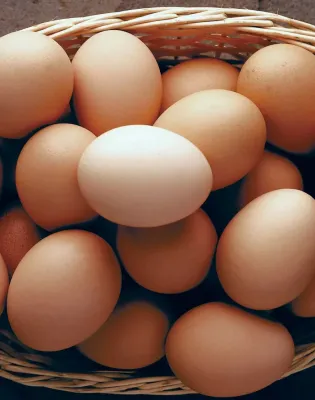 eggs