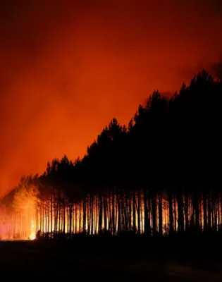 france fire