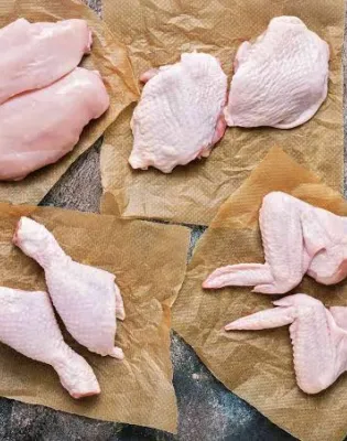 chicken