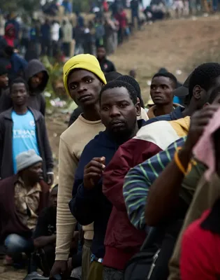 metanastes afriki