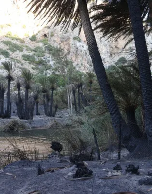 preveli