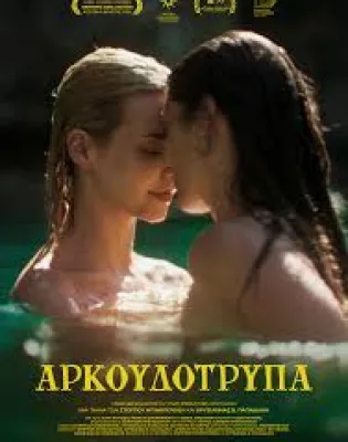 αρκουδότρυπα