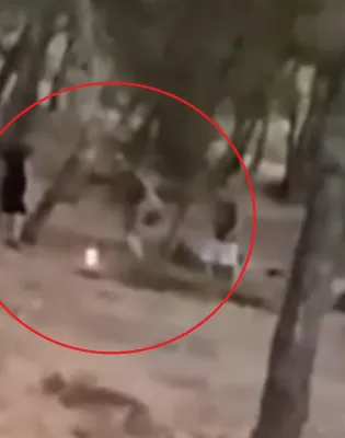 Βάζουν φωτιά στο δάσος και μετά προσπαθούν να τη σβήσουν