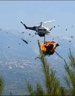 ελικο