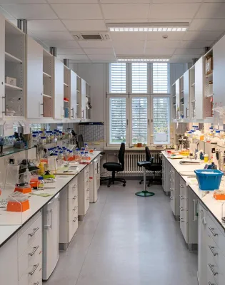 labs