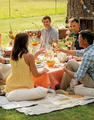 picnicnic