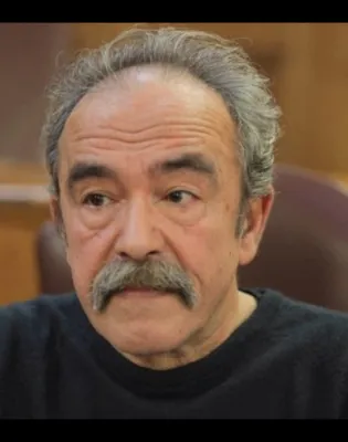 τσελφες